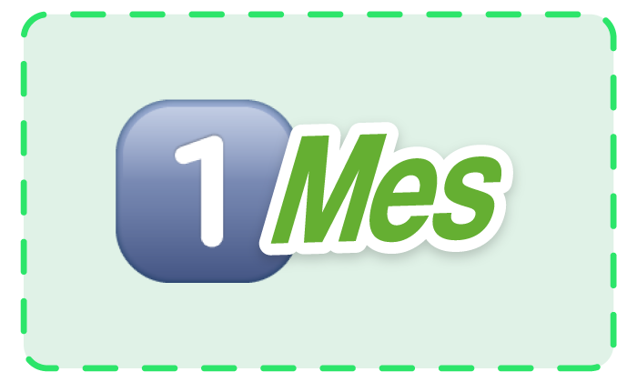 1 Mes