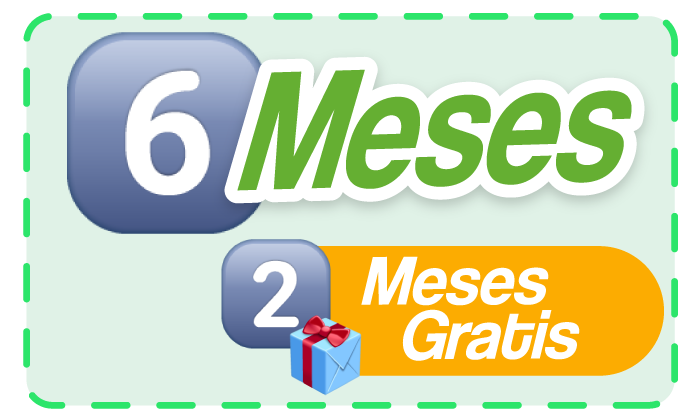 6 Meses